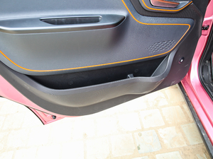 2019��250km ������ ǰ�T������g