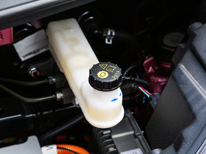 2019��250km ������ ����