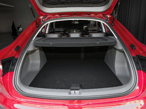 20191.5T CVT 24СrھF g