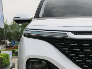 2019款1.5T CVT 24小时在线尊贵型 5座 细节外观