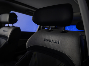 20191.5T CVT 24СrھF 6	 g