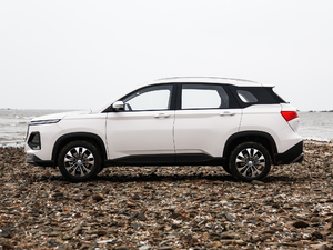 2020款1.5T CVT尊贵互联型 6座 正侧（左）