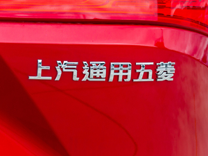 2020款1.5T CVT豪华互联型 6座 细节外观