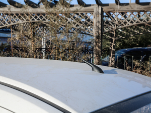 20201.5L Ԅӄ VI (x)(ji)^