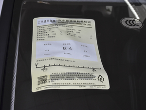 2021款1.5T 手动豪华型 全球车周年纪念版 5座 其它