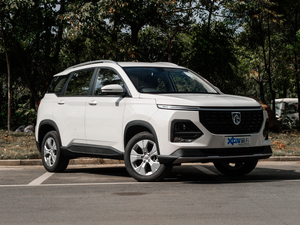 2021款1.5T 手动舒适型 全球车周年纪念版 5座 整体外观