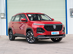 2021款1.5T CVT尊贵互联型 全球车周年纪念版 5座 整体外观