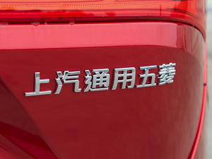 2021款1.5T CVT豪华型 全球车周年纪念版 7座 细节外观