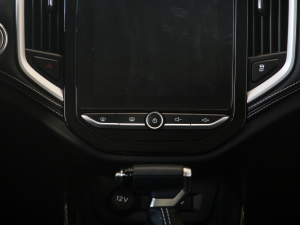 2021款1.5T CVT尊贵互联型 全球车周年纪念版 6座 音响调节