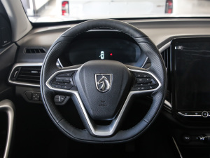 2021款1.5T CVT尊贵互联型 全球车周年纪念版 6座 方向盘