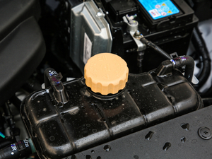 2021款1.5L 手动劲享型 其它