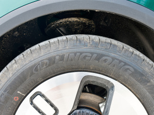 2021O(sh)Ӌ(j) Ԫ ݆̥Ʒ