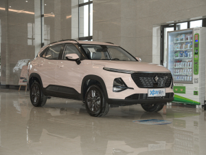 2022SOODA 1.5L CVTh ǰ45