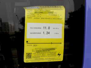 2024款旗舰版 其它