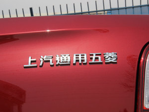 20131.5L DVVT ք(dng)m (x)(ji)^