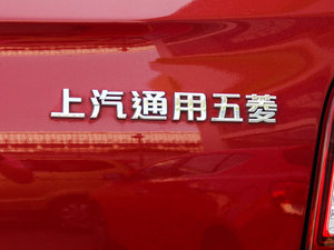 20131.5L DVVT քӾӢ (ji)^