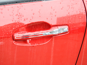 2017�������� ���{�T����