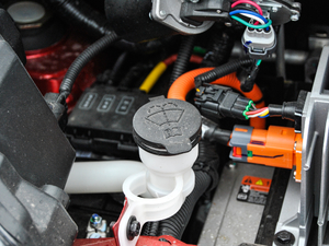 2017�������� ����