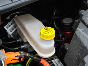 2017�������� ����