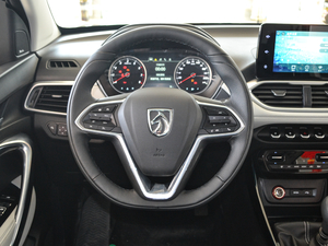 2018款1.5T 手动尊贵型 国V 方向盘