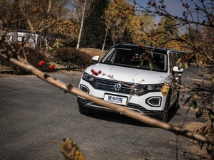 2019380TSI (q)Ş V w^