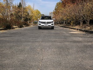 2019380TSI (q)Ş V w^