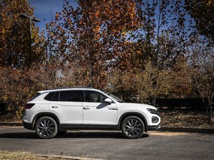 2019380TSI (q)Ş V w^