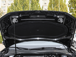 2019330TSI (q)A (gu)V 