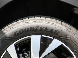 2019330TSI (q)APlus VI ݆̥Ʒ