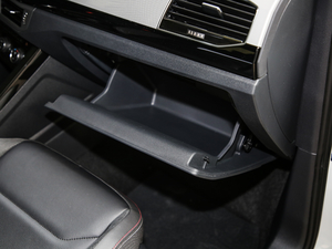 2019330TSI (q)APlus (gu)VI g