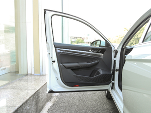 2019280TSI DSGӢ {λ܇T