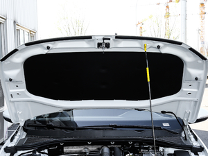 2019Ŀ 280TSI DSG Ӣ V 