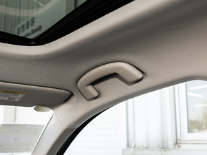 2019Ŀ 1.5L ԄӾӢ V g