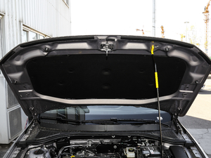 2019Ŀ 1.5L Ԅ(dng)Ӣ (gu)V 