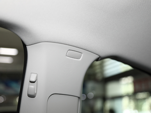 2019Ŀ 1.5L քӕr V g