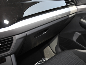 2019Ŀ 1.5L Ԅӕr V g