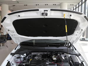 2019Ŀ 1.5L Ԅӕr VI 