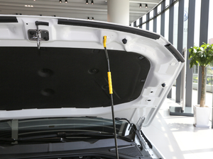 2019Ŀ 1.5L Ԅӕr VI 