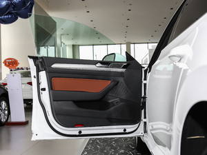 2019款330TSI 魅颜版 国V 驾驶位车门