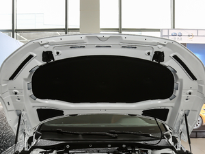 2019330TSI  (gu)V 