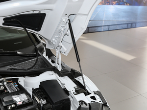 2019330TSI  (gu)V 