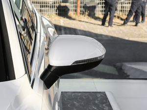 2019款380TSI 魅颜版 国V 后视镜