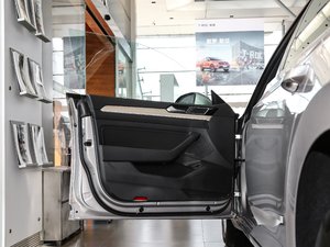 2019款330TSI 华颜版 国V 驾驶位车门