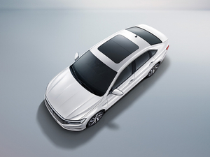 2019280TSI DSGŞ (gu)V w^