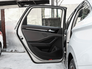 2019280TSI DSGŞ V ܇T