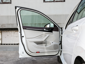 2019款280TSI DSG旗舰型 国V 驾驶位车门