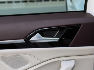 2019280TSI DSGŞ V g