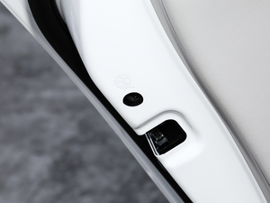 2019280TSI DSGŞ V g