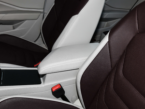 2019280TSI DSGŞ V g