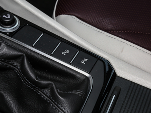 2019280TSI DSGŞ (gu)V п؅^(q)